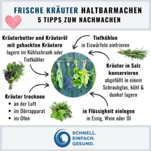 Frische Kräuter haltbarmachen Infographik