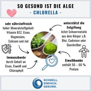 So gesund ist die Alge Chlorella Infographik