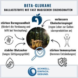 Beta-Glukane Infographik