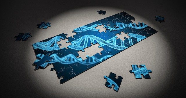 Fast fertiges blaues Puzzle, das drei DNA-Helixen abbildet