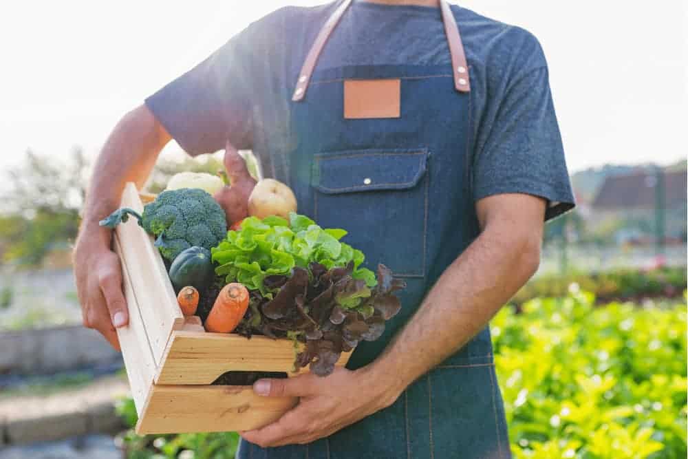 Bio online kaufen - Lebensmittelhändler mit Bio-Lebensmittel unter dem Arm