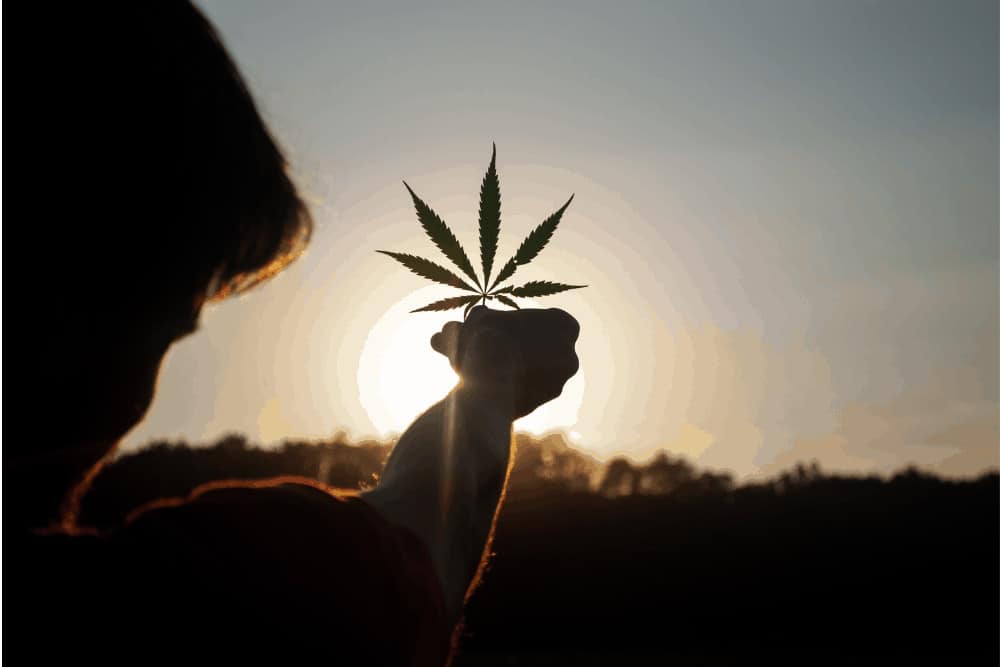 Mann hält Cannabisblatt gegen die untergehende Sonne ins Licht