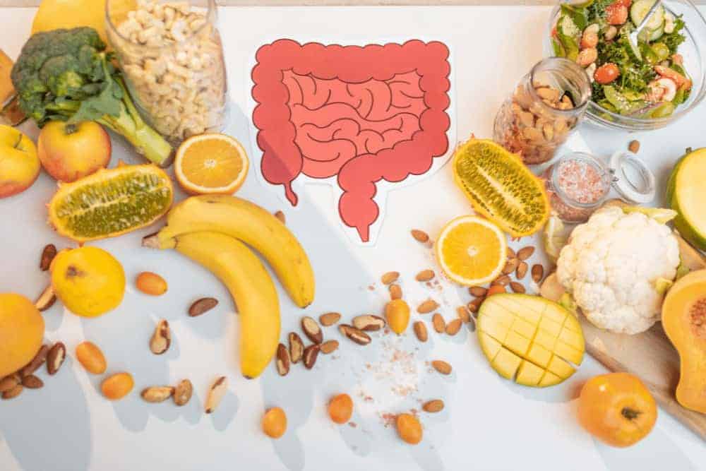 Darmgesundheit - Bild von einem Darm auf einem weißen Tisch mit gesundem gelbem Essen