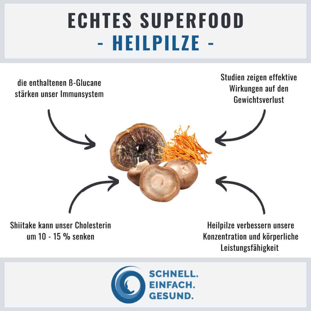 Echtes Superfood Heilpilze Infographik