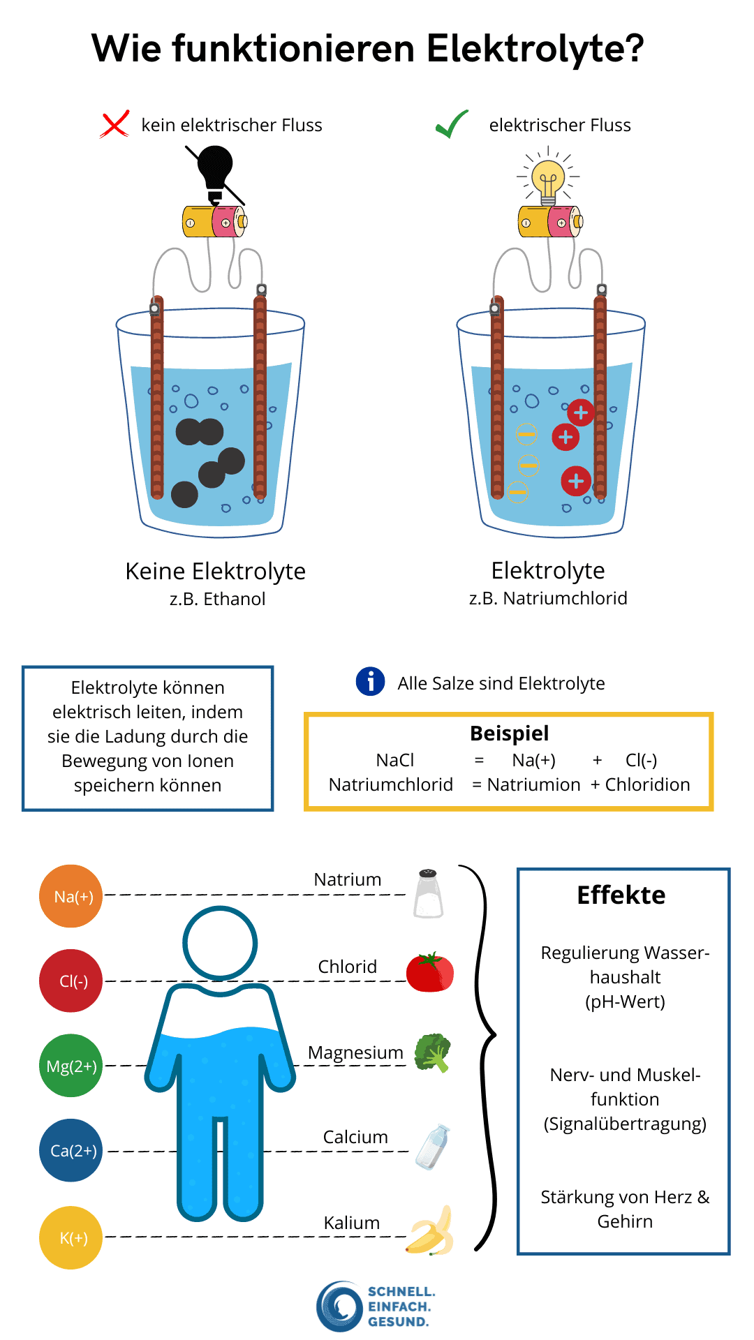 Elektrolyte Infografik SEG