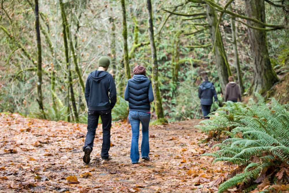 Spaziergang im Wald zwei Personen im Herbstlaub