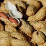 Erdnüsse in Nahaufnahme