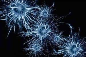 Weiße Neuronen auf schwarzem Hintergrund