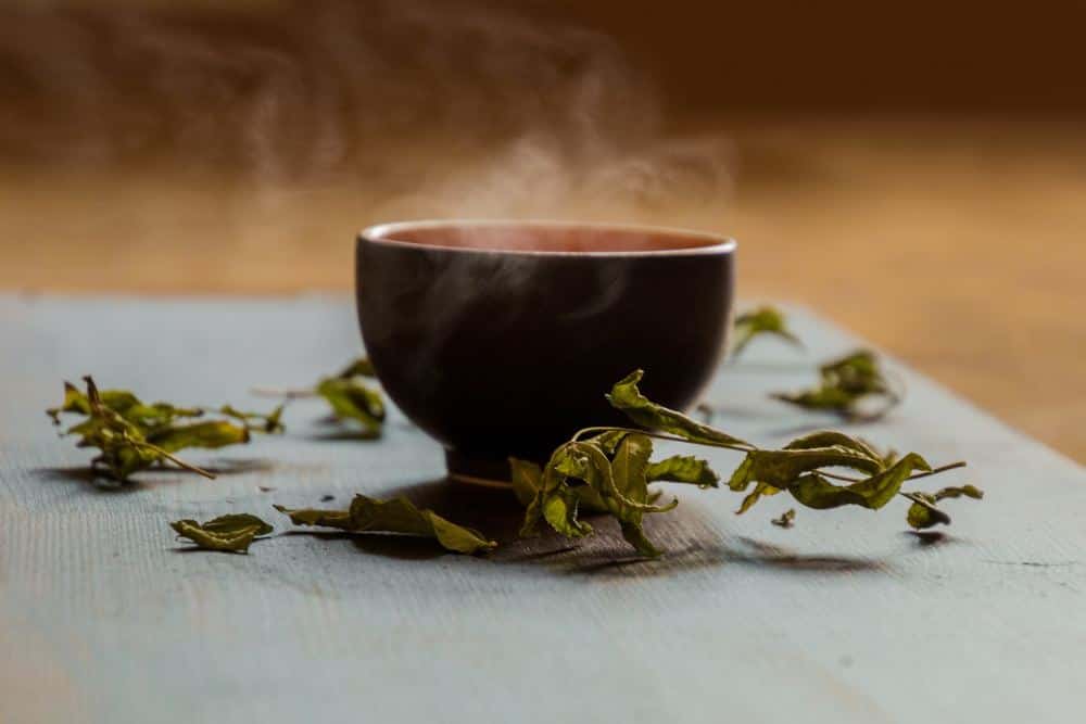 Eine dampfende Tasse Grüner Tee