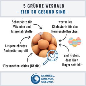 Gründe weshalb Eier so gesund sind Infographik