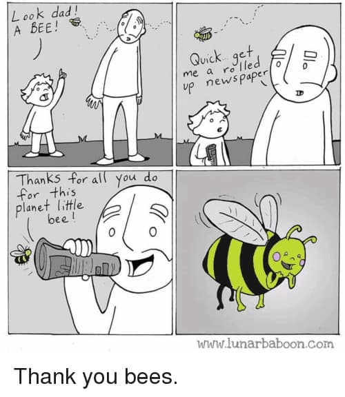 Bienen-Cartoon