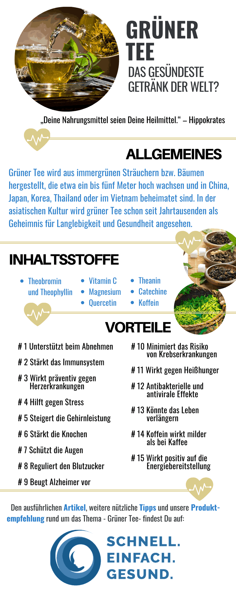 Infografik Grüner Tee