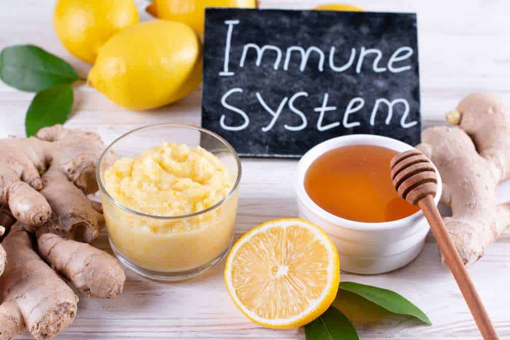 Lebensmittel für das Immunsystem, darunter Ingwer, Honig und Zitrone