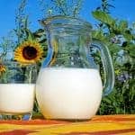 Milch in Glas und in Karaffe mit Garten im Hintergrund