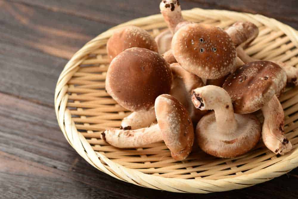 Shiitake-Pilze in einem Korb auf einem Holztisch