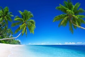Weißer Sandstrand mit Palmen und blauem Himmel