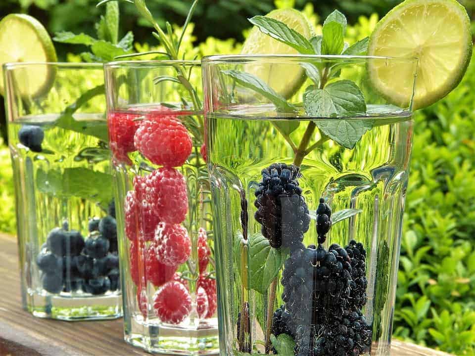 Drei Wassergläser mit frischen Beeren und Zitrusscheiben mit Garten im Hintergrund